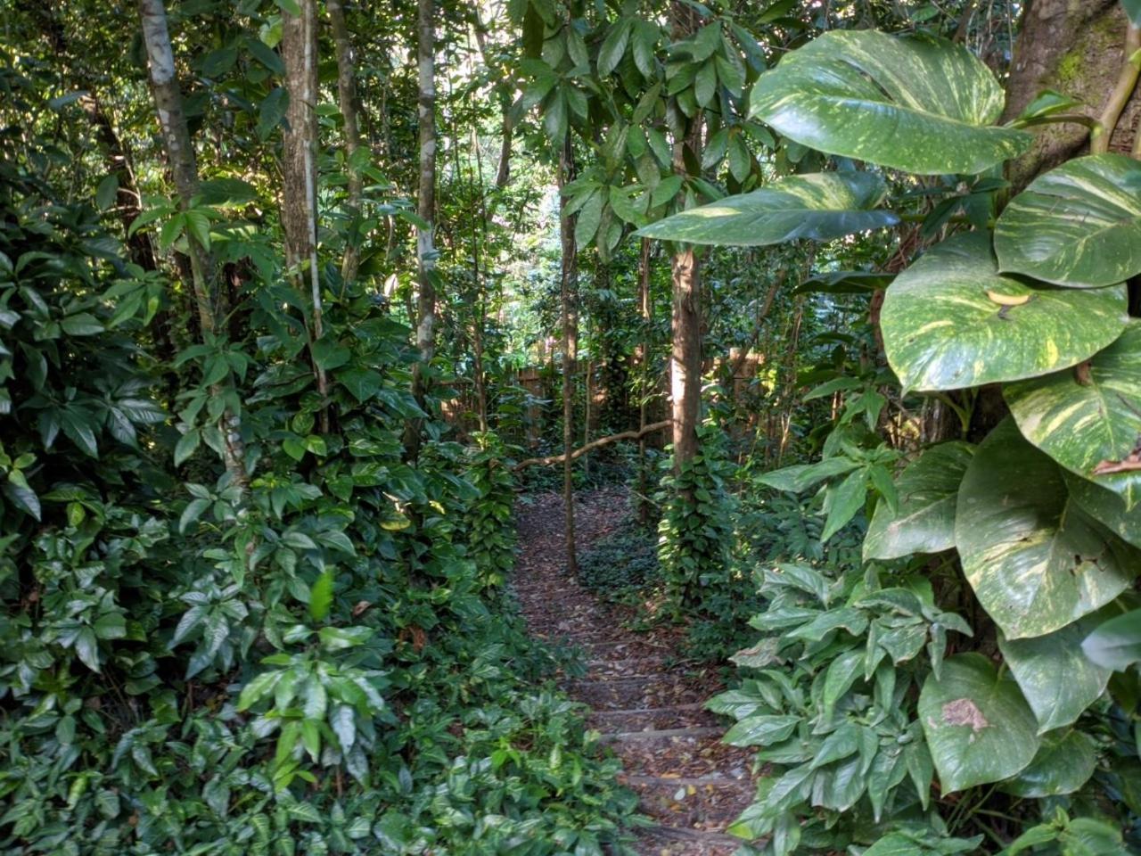 Kaza Zazu Trancoso Bahia Casa de férias
